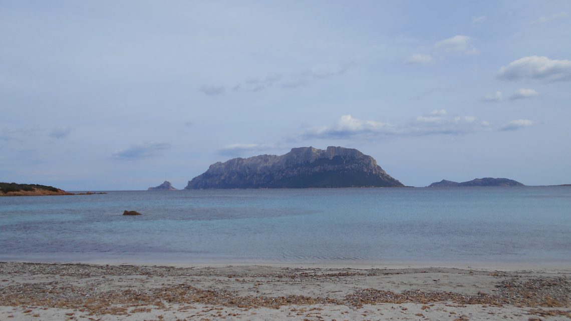 Murta Maria… 06-10-16 ❁ 07-10-16